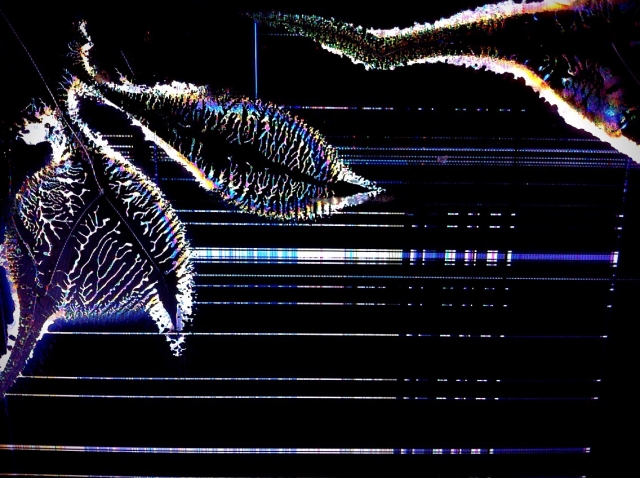 テレビ画面の割れ