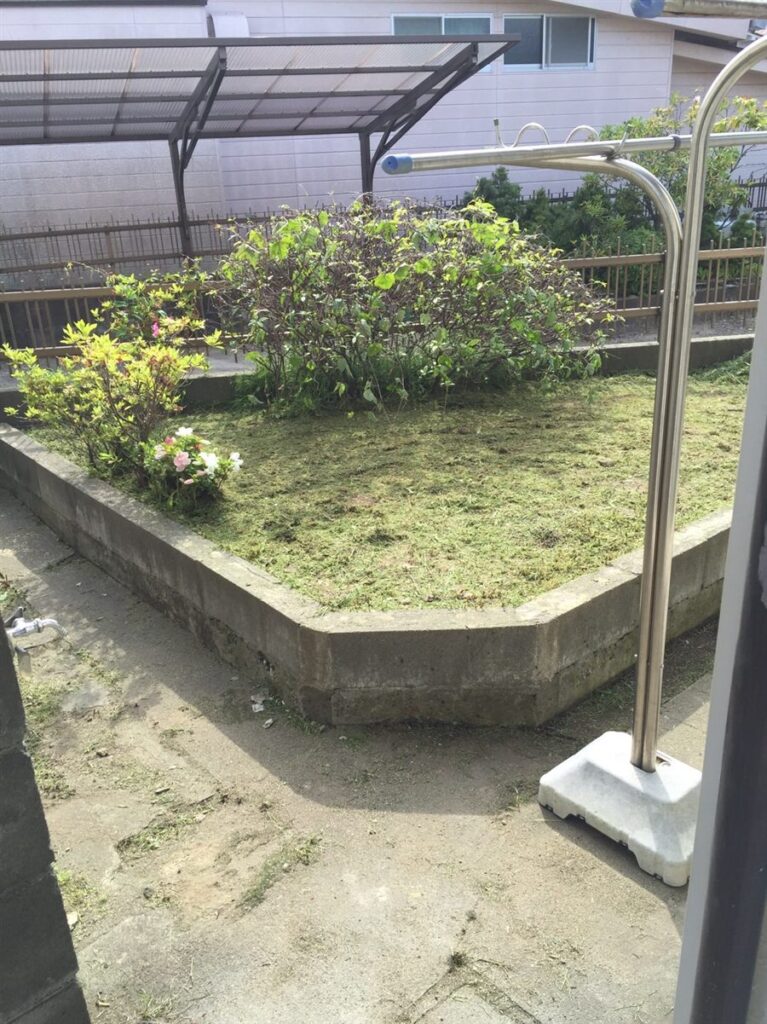 草刈り後の庭(雑草を刈り取った状態)
