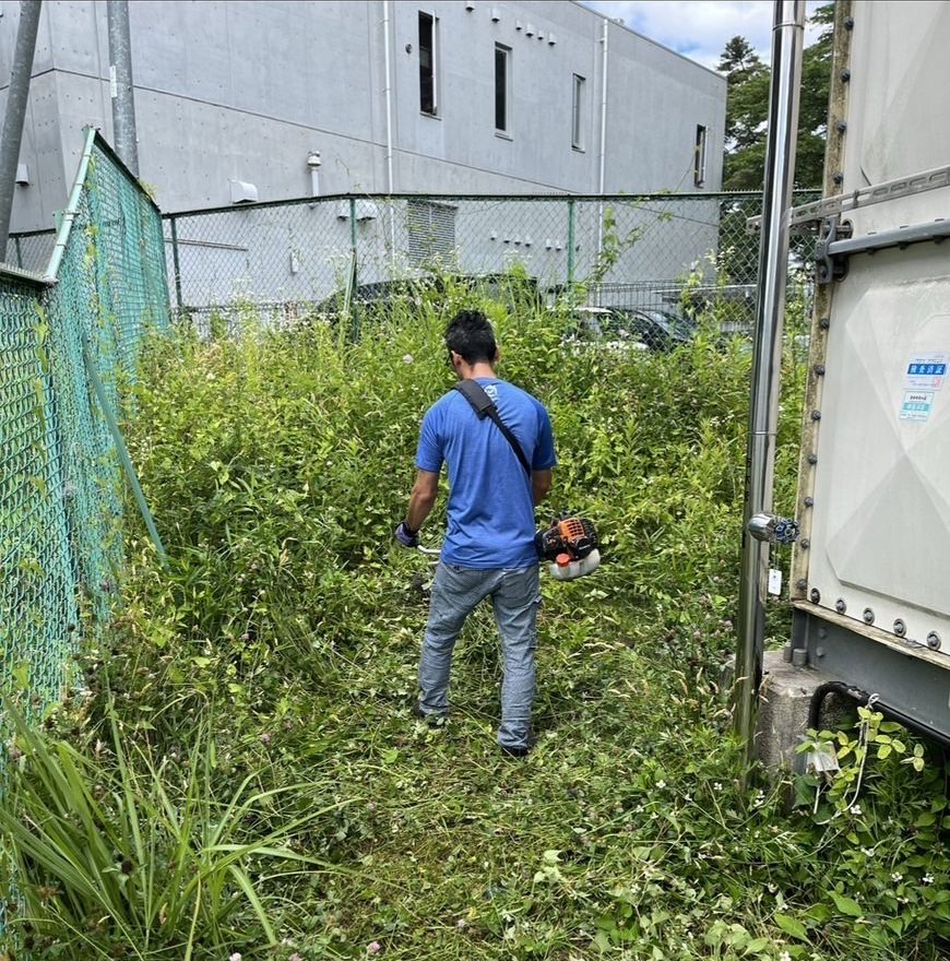 草刈り機で雑草を刈り取る作業